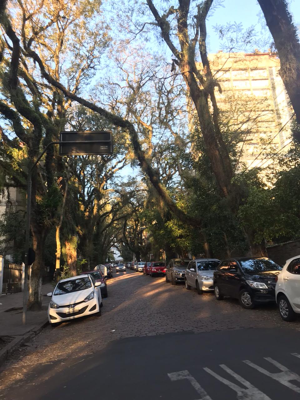 Rua Gonçalo de Carvalho, Porto Alegre
