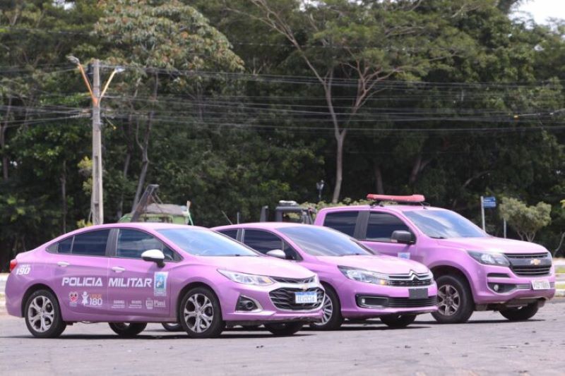 Polícia Militar do Piauí com viaturas cor de rosa para identificação