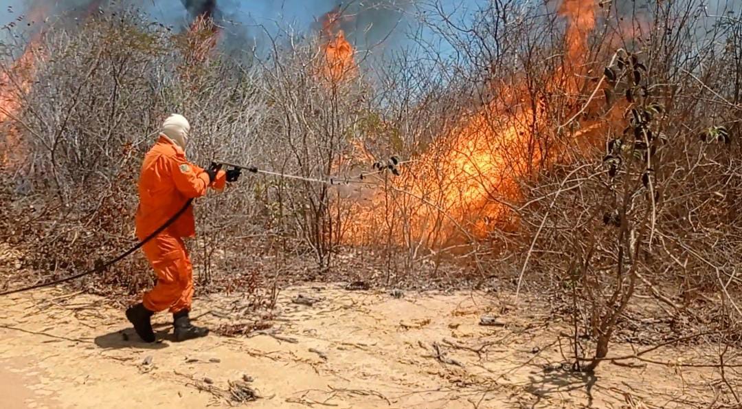 Corpo de Bombeiros alertam sobre queimadas nessa época do ano