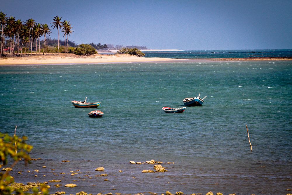 Cajueiro da Praia