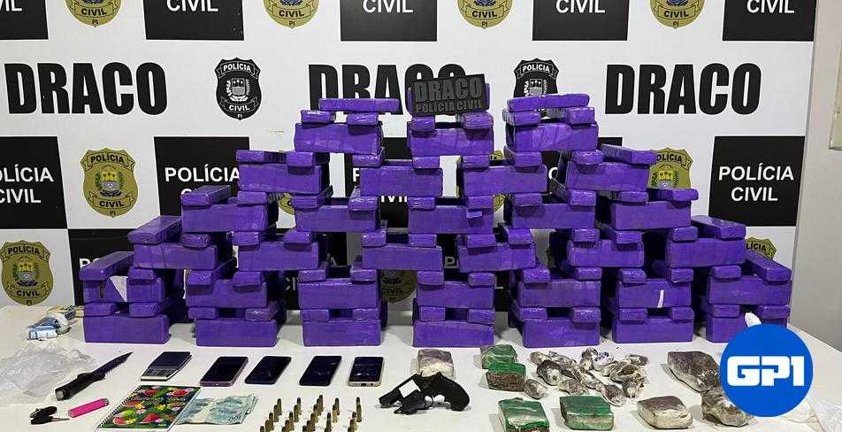 DRACO apreende 140 tabletes de maconha durante operação em Teresina