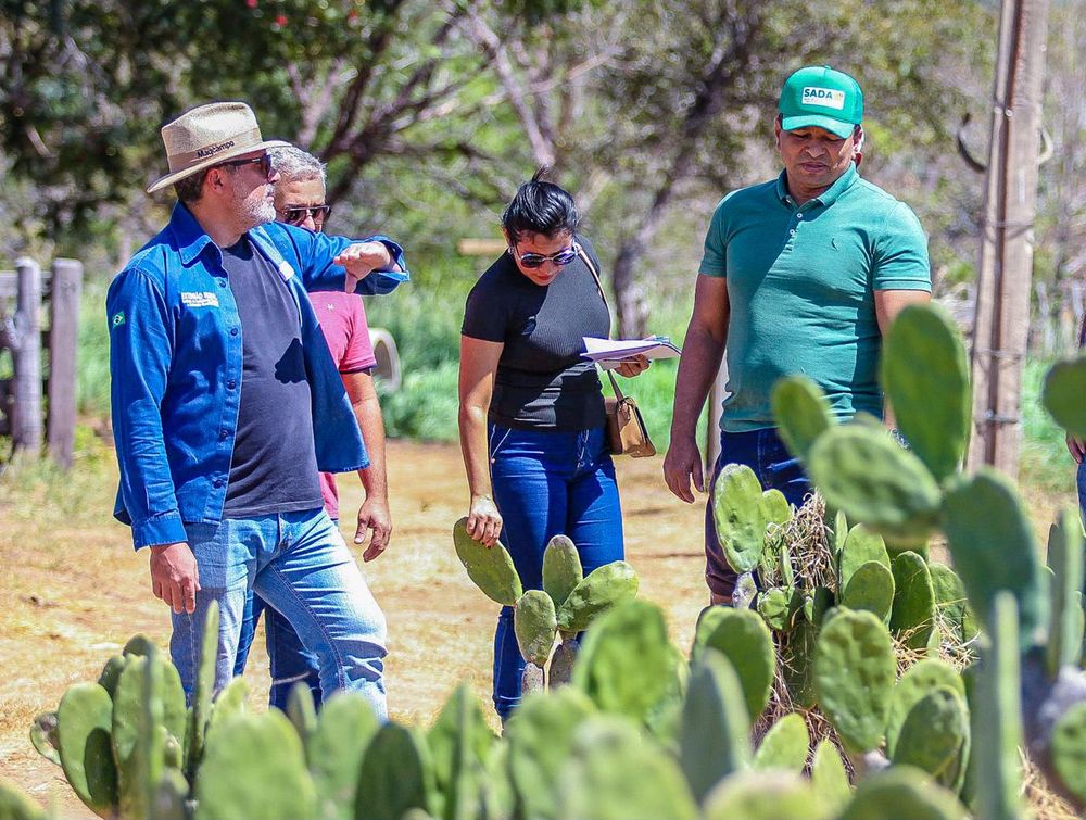 Mais de 3 mil famílias piauienses receberam assistência técnica para fortalecimento da agricultura familiar