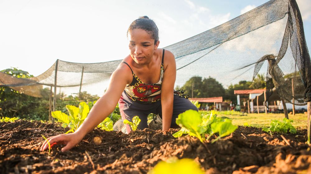 Projeto Piauí