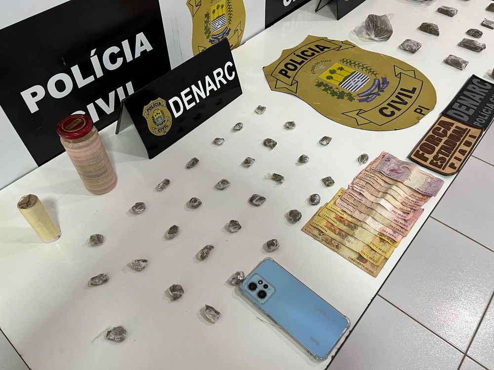 Polícia Civil do Piauí já apreendeu mais de 10 mil quilos de drogas em 2024