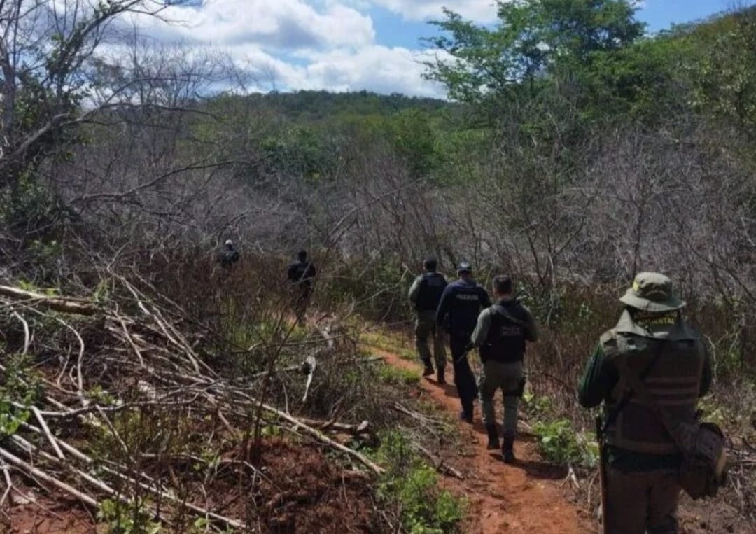 Secretaria de Meio Ambiente intensifica combate ao desmatamento no Cerrado do Sul do Piauí com a Operação Cerrado Vivo