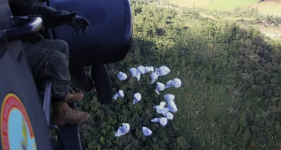 Cinco milhões de sementes são lançadas de helicóptero em áreas de deslizamento no Rio Grande do Sul