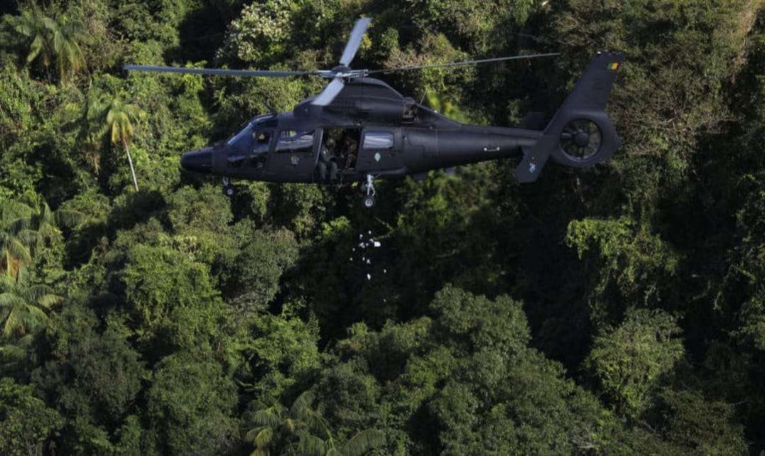 Cinco milhões de sementes são lançadas de helicóptero em áreas de deslizamento no Rio Grande do Sul