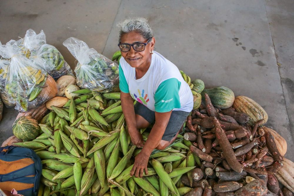 Governo do Piauí investe R$ 8,3 milhões e distribui mil toneladas de alimentos para famílias vulneráveis