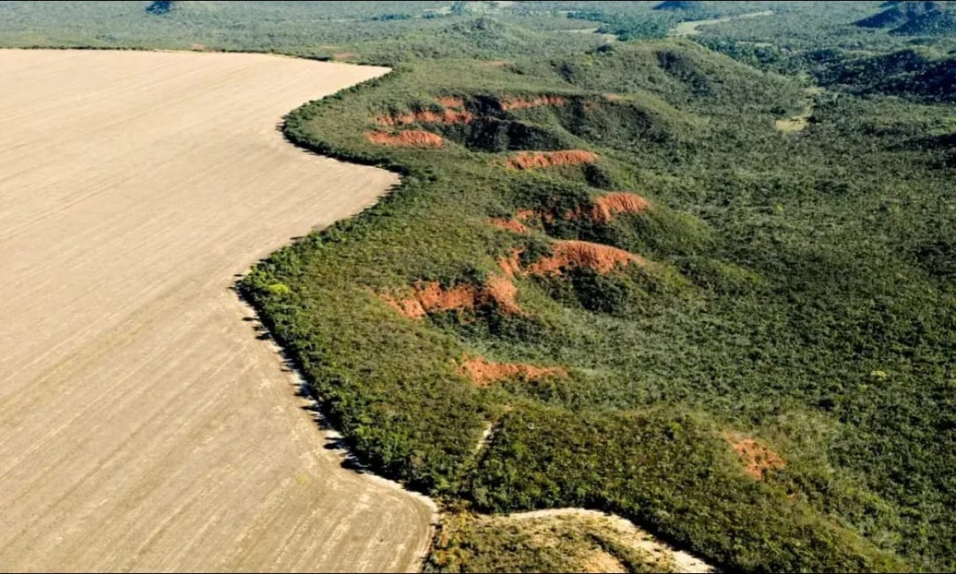 Piauí é o estado do Matopiba que menos emitiu CO2